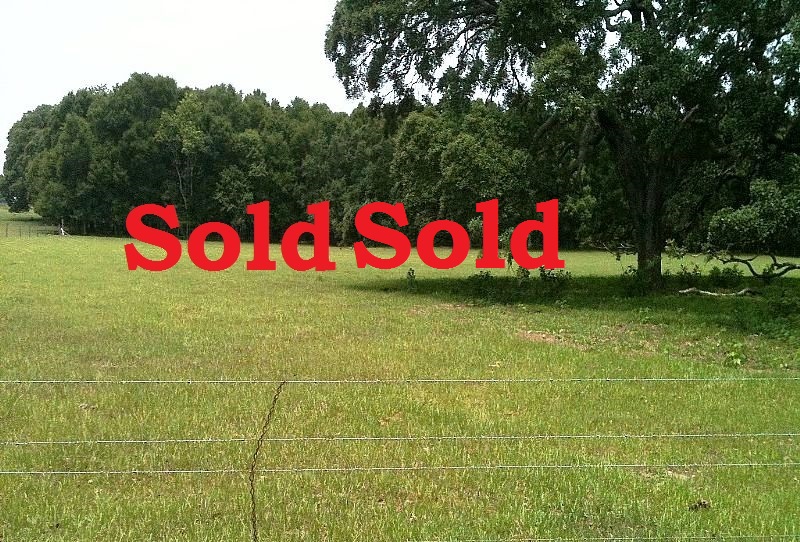 Trilby Road 33 Acre Beautiful Tract in Desirable Area with Owner Financing Dade City,  Pasco County,  Florida 33523 SOLD